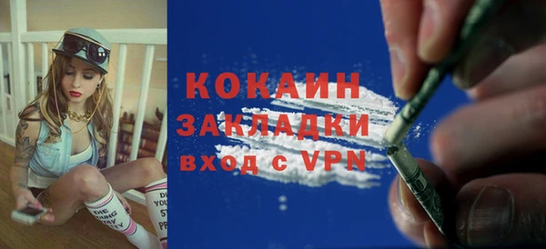 ПСИЛОЦИБИНОВЫЕ ГРИБЫ Вяземский