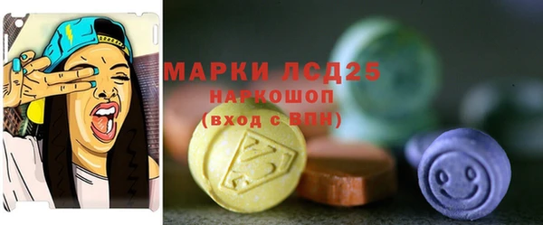ПСИЛОЦИБИНОВЫЕ ГРИБЫ Вяземский