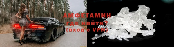 ПСИЛОЦИБИНОВЫЕ ГРИБЫ Вяземский
