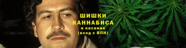 ПСИЛОЦИБИНОВЫЕ ГРИБЫ Вяземский