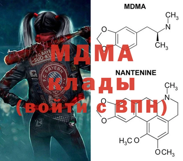 ГАЛЛЮЦИНОГЕННЫЕ ГРИБЫ Вязники