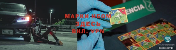 ГАЛЛЮЦИНОГЕННЫЕ ГРИБЫ Вязники