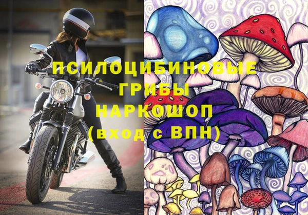 ПСИЛОЦИБИНОВЫЕ ГРИБЫ Вяземский