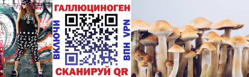 цена наркотик  Макарьев  Галлюциногенные грибы Magic Shrooms 